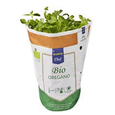 MAKRO CHEF BIO OREGANO BIO 1 POLNISCHE ART